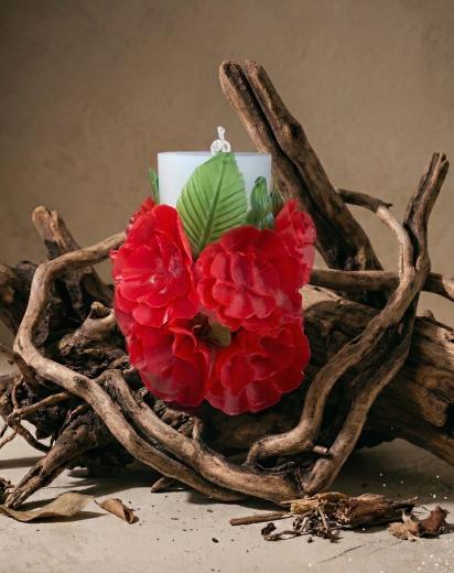 Vela de cera escamada